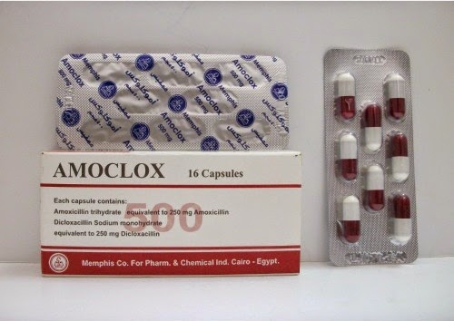 مضاد حيوي اموكلوكس لعلاج مجموعة متنوعة وواسعة من الالتهابات البكتيرية