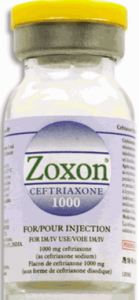 دواء زوكسون لعلاج الالتهاب الرئوي و التهاب الشعب الهوائية Zoxon