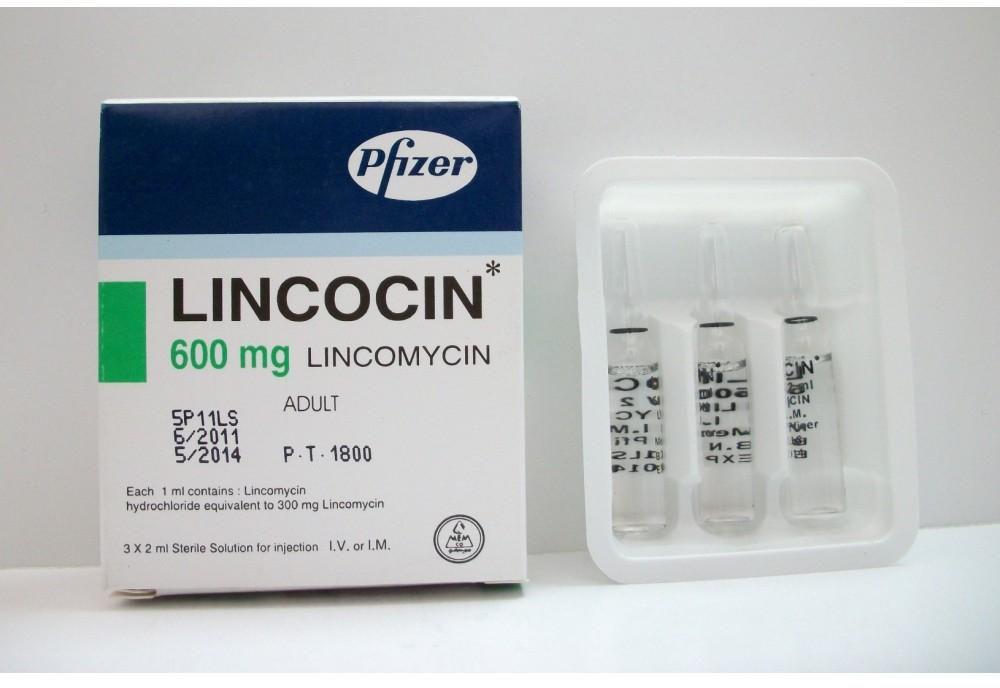 امبولات لينكوسين LINCOCIN مضاد حيوي لعلاج الالتهابات البكتيرية