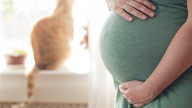 التعرف على داء المقوسات عند الحوامل و اعراضه وكيفيه الوقايه منه